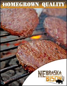Nebraska Bison Nebraska Bison