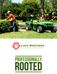 Luke Brothers Luke Brothers