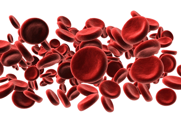blood_cells Biotech researchers turn skin into human blood