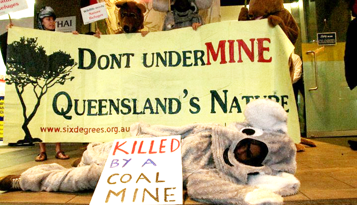 Animals used to close coal office in Queensland Protest against mine Animals used to close coal office in Queensland Protest against mine