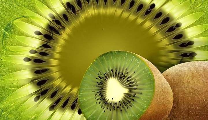 kiwi_virus The New Zealand Dollar continues to exceed expectations even in face of Kiwi Virus