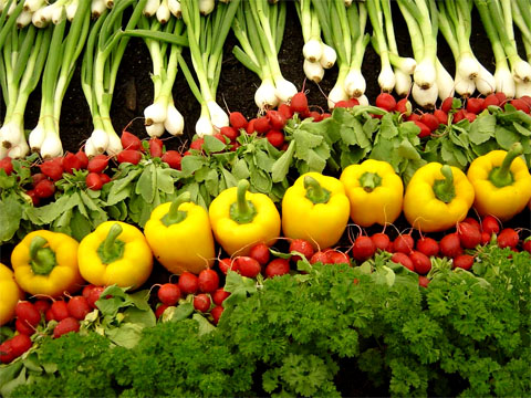 Organic farming a fast-growing industry Organic farming a fast-growing industry