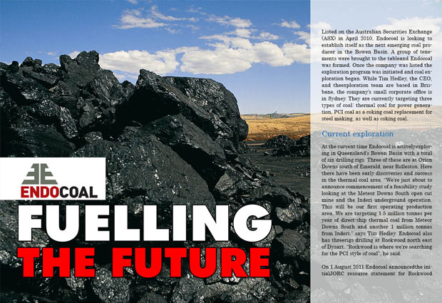 Endocoal Endocoal