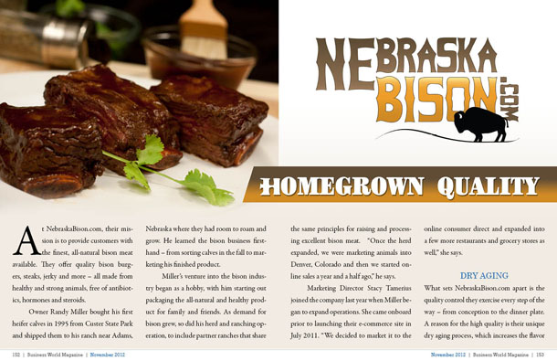 NebraskaBison.com NebraskaBison.com