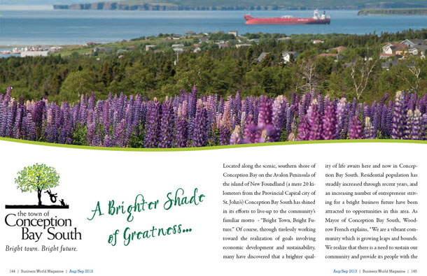 The Town of Conception Bay Town of Conception Bay